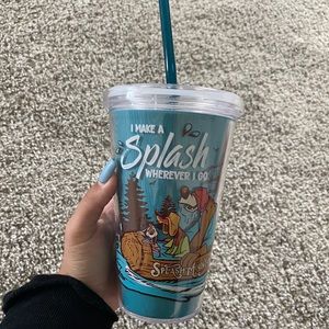 Splash Mountain Tumbler